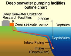 Deep Seawater Pumping Facilities Outline Chart