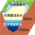 富山湾の水塊構造