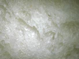 一般の食塩を用いて製造した食パン